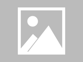 实现百度、必应、360、搜狗、谷歌的竞价系统和爬虫完全无法抓取内容